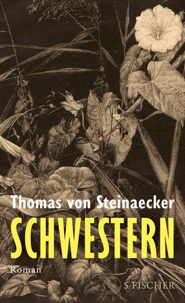Produktbild: Schwestern