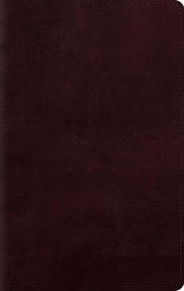Produktbild: Large Print Personal Size Bible-ESV