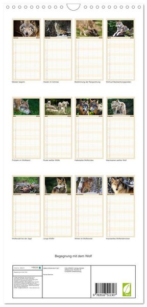 Produktbild: Familienplaner 2026 - Begegnung mit dem Wolf mit 5 Spalten (Wandkalender, 21 x 45 cm) CALVENDO