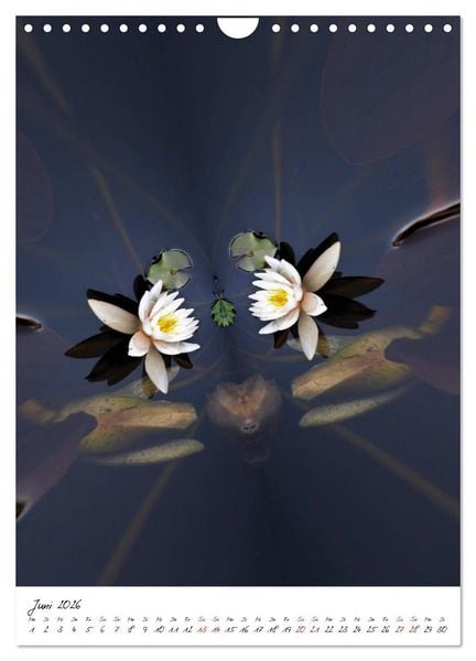 Produktbild: Durchschnittlich - Verzauberte Flora (Wandkalender 2026 DIN A4 hoch), CALVENDO Monatskalender