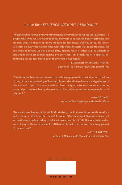 Produktbild: Affluence Without Abundance