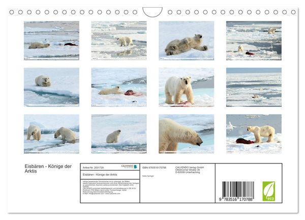Produktbild: Eisb&auml;ren - K&ouml;nige der Arktis (Wandkalender 2026 DIN A4 quer), CALVENDO Monatskalender