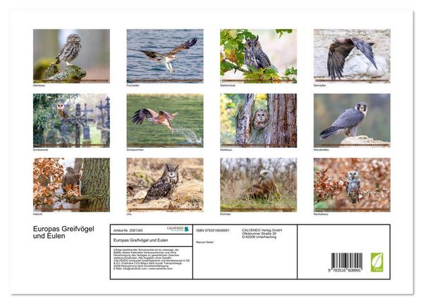 Produktbild: Europas Greifv&ouml;gel und Eulen (Wandkalender 2026 DIN A3 quer), CALVENDO Monatskalender