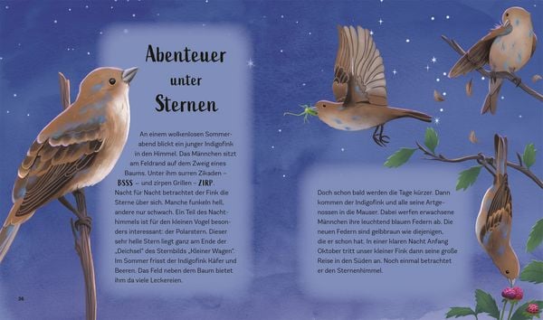 Produktbild: Tiergeschichten zum Tr&auml;umen. Zauber der Nacht