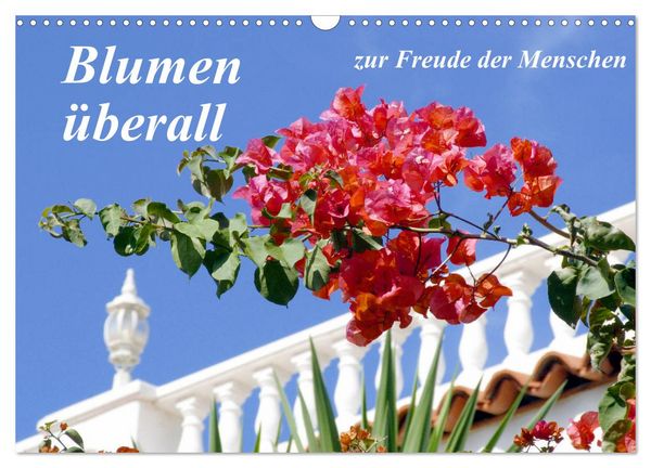 Produktbild: Blumen &uuml;berall, zur Freude Menschen (Wandkalender 2026 DIN A3 quer), CALVENDO Monatskalender