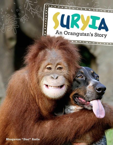 Produktbild: Suryia