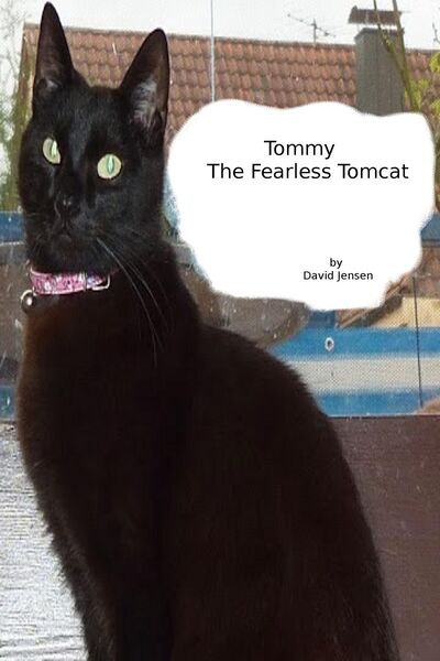 Produktbild: Tommy the Fearless Tomcat