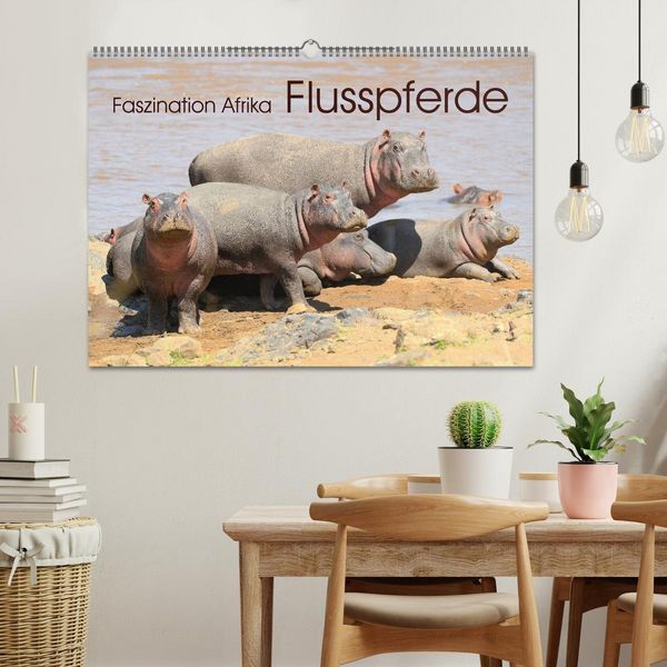 Produktbild: Faszination Afrika: Flusspferde (Wandkalender 2026 DIN A2 quer), CALVENDO Monatskalender
