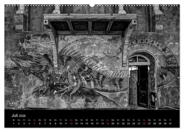 Produktbild: lost beauty (Wandkalender 2026 DIN A2 quer), CALVENDO Monatskalender