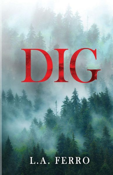 Produktbild: DIG