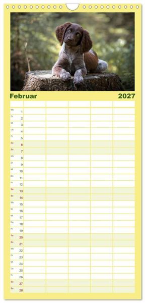Produktbild: Familienplaner 2027 - Passion Jagdhund - Deutsch Langhaar mit 5 Spalten (Wandkalender, 21 x 45 cm) CALVENDO