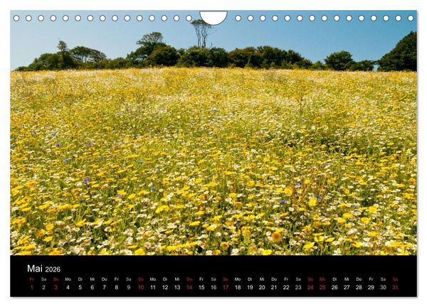 Produktbild: Magisches Cornwall (Wandkalender 2026 DIN A4 quer), CALVENDO Monatskalender