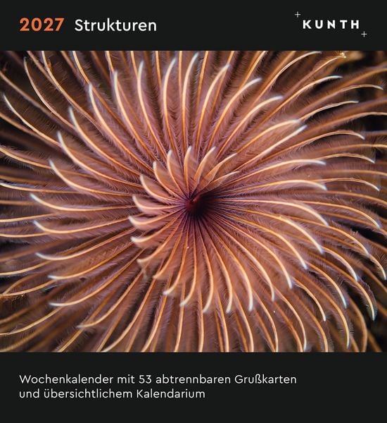 Produktbild: Strukturen - KUNTH Postkartenkalender 2027