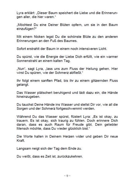 Produktbild: Der Weg &uuml;ber die Regenbogenbr&uuml;cke ins Licht
