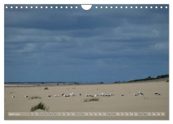 Produktbild: Texel. Neue D&uuml;nen (Wandkalender 2026 DIN A4 quer), CALVENDO Monatskalender