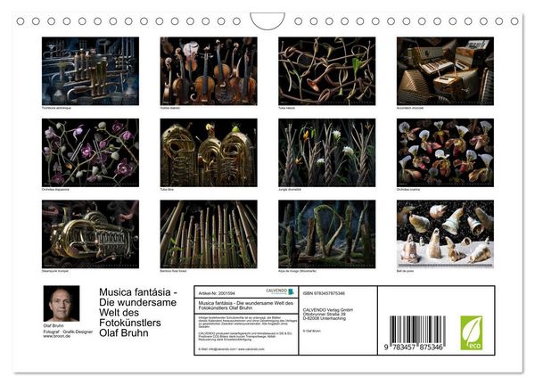 Produktbild: Musica fant&aacute;sia - Die wundersame Welt des Fotok&uuml;nstlers Olaf Bruhn (Wandkalender 2026 DIN A4 quer), CALVENDO Monatskalender