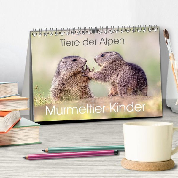 Produktbild: Tiere der Alpen - Murmeltier-Kinder (Tischkalender 2026 DIN A5 quer), CALVENDO Monatskalender