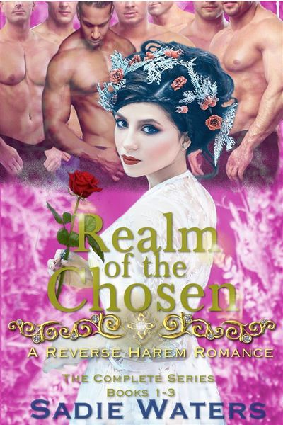 Produktbild: Realm of the Chosen: A Reverse Harem Romance