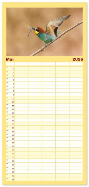 Produktbild: Familienplaner 2026 - Bunte Flieger mit 5 Spalten (Wandkalender, 21 x 45 cm) CALVENDO