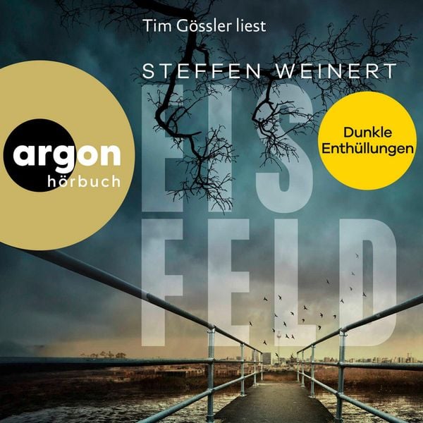 Produktbild: Eisfeld &ndash; Dunkle Enth&uuml;llungen