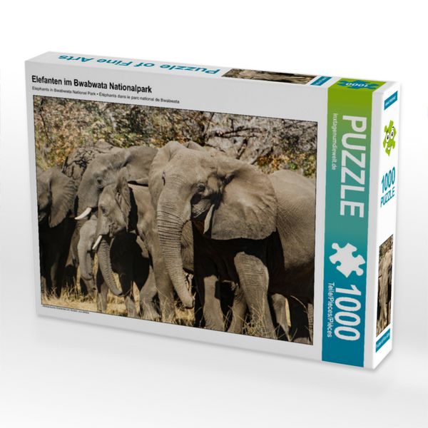 Produktbild: CALVENDO Puzzle Elefanten im Bwabwata Nationalpark | 1000 Teile Lege-Gr&ouml;&szlig;e 64x48cm Foto-Puzzle f&uuml;r gl&uuml;ckliche Stunden