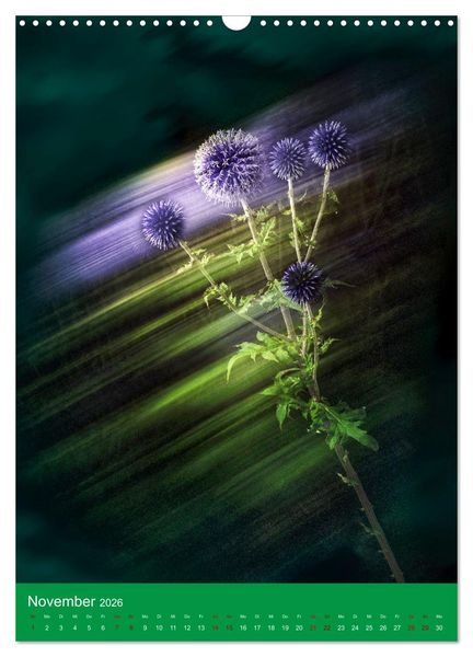 Produktbild: Floraler Tanz (Wandkalender 2026 DIN A3 hoch), CALVENDO Monatskalender