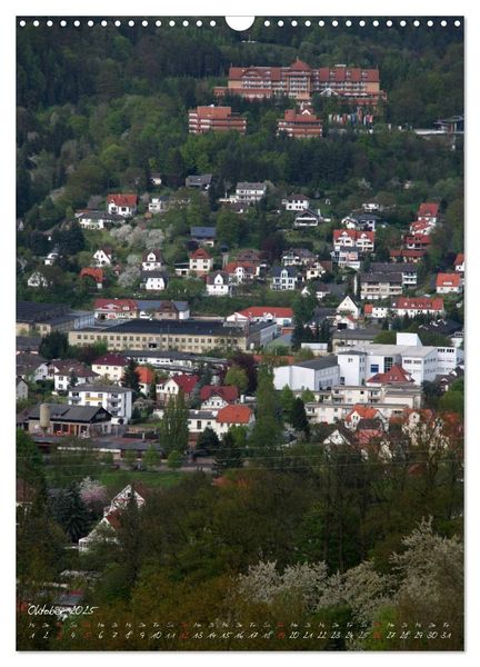 Rotenburg an der Fulda (Wandkalender 2025 DIN A3 hoch), CALVENDO Monatskalender
