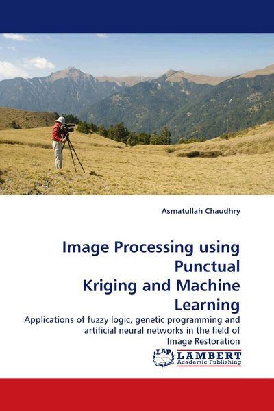 Produktbild: Image Processing using Punctual Kriging and Machine Learning