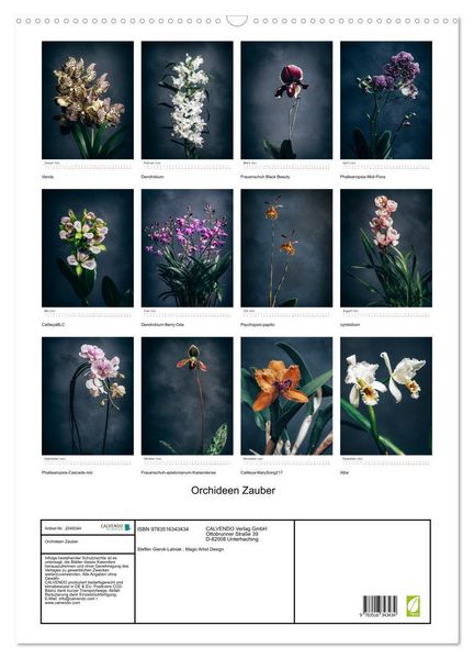 Produktbild: Orchideen Zauber (Wandkalender 2026 DIN A2 hoch), CALVENDO Monatskalender