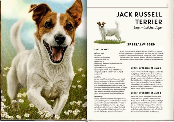 Produktbild: Lebensgro&szlig;