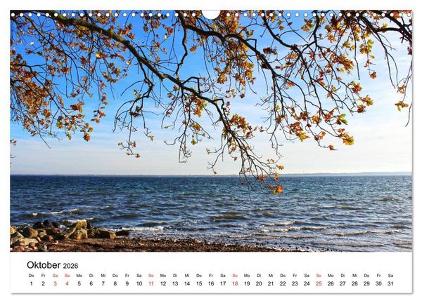 Produktbild: Strande und B&uuml;lk 2026 (Wandkalender 2026 DIN A3 quer), CALVENDO Monatskalender