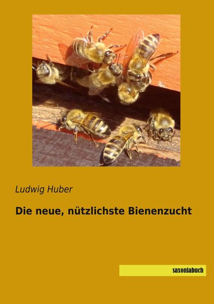 Produktbild: Die neue, n&uuml;tzlichste Bienenzucht
