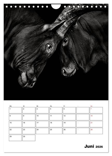 Produktbild: Charakterk&ouml;pfe aus der Welt der Tiere (Wandkalender 2026 DIN A4 hoch), CALVENDO Monatskalender