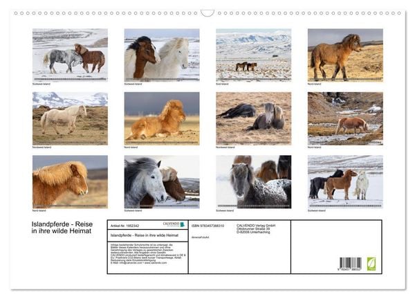 Produktbild: Islandpferde - Reise in ihre wilde Heimat (Wandkalender 2026 DIN A2 quer), CALVENDO Monatskalender
