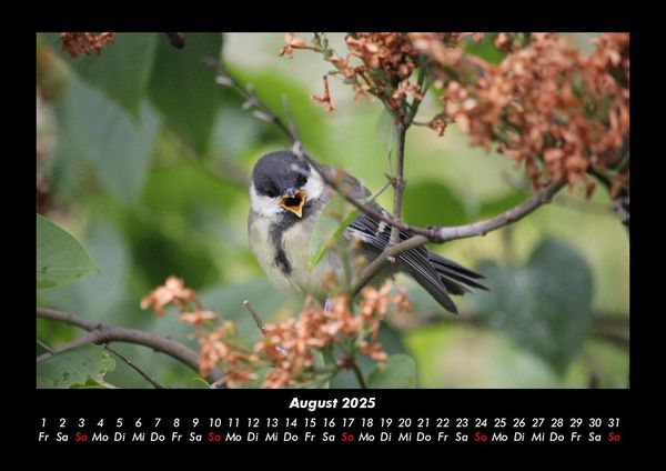 Produktbild: Pflanzen und Bl&uuml;ten 2025 Fotokalender DIN A3