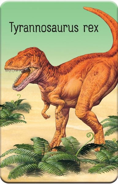Produktbild: Schnapp und weg! Das superschnelle Kartenspiel: Dinosaurier