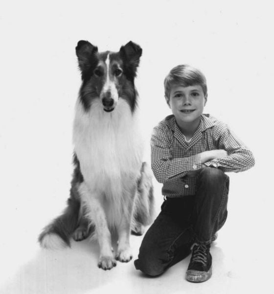 Produktbild: Lassie verschwindet