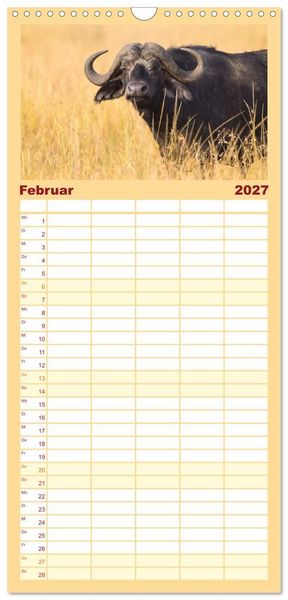 Produktbild: Familienplaner 2027 - Afrika Wildlife-Fotografien mit 5 Spalten (Wandkalender, 21 x 45 cm) CALVENDO