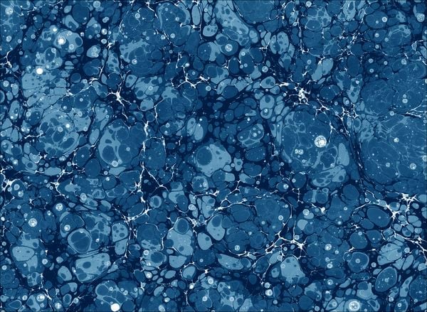 Produktbild: Anna Atkins