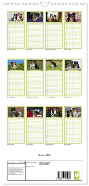Produktbild: Familienplaner 2026 - Shelties 2026 mit 5 Spalten (Wandkalender, 21 x 45 cm) CALVENDO