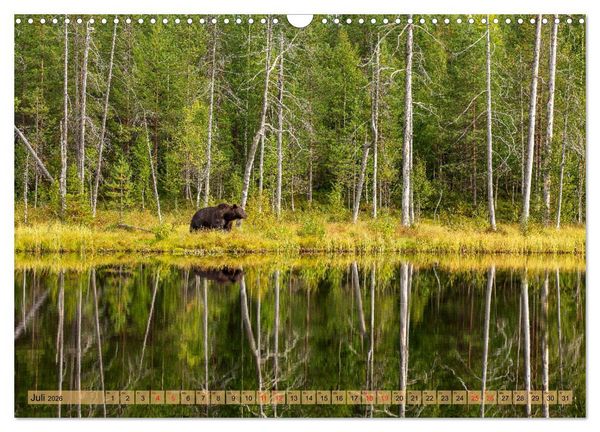 Produktbild: Wildes Finnland (Wandkalender 2026 DIN A3 quer), CALVENDO Monatskalender