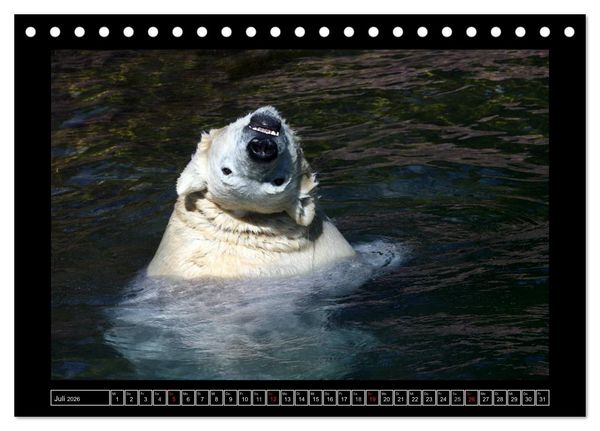Produktbild: Wildtiere (Tischkalender 2026 DIN A5 quer), CALVENDO Monatskalender