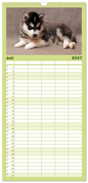 Produktbild: Familienplaner 2027 - Husky Welpen mit 5 Spalten (Wandkalender, 21 x 45 cm) CALVENDO