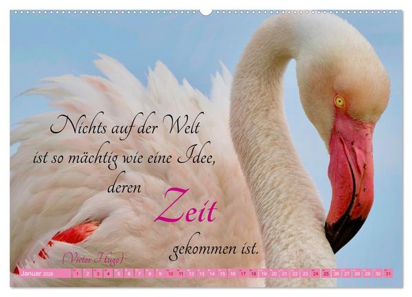 Produktbild: The Power Of Pink (hochwertiger Premium Wandkalender 2026 DIN A2 quer), Kunstdruck in Hochglanz