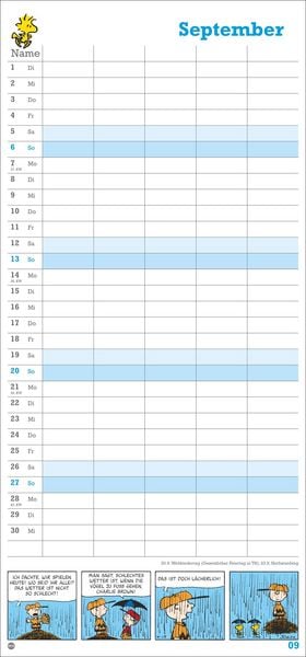 Produktbild: Peanuts Familienplaner 2026