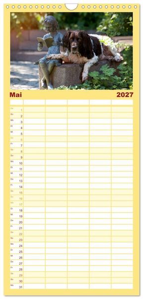Produktbild: Familienplaner 2027 - Passion Jagdhund - Kleiner M&uuml;nsterl&auml;nder mit 5 Spalten (Wandkalender, 21 x 45 cm) CALVENDO