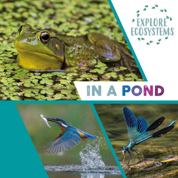 Produktbild: Explore Ecosystems: In a Pond