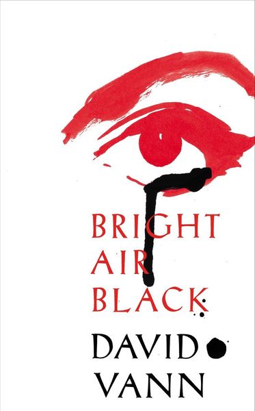 Produktbild: Bright Air Black