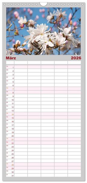 Produktbild: Familienplaner 2026 - Magnolien Ein Bl&uuml;tenrausch mit 5 Spalten (Wandkalender, 21 x 45 cm) CALVENDO
