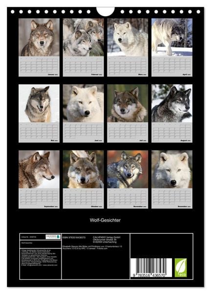 Produktbild: Wolf-Gesichter (Wandkalender 2026 DIN A4 hoch), CALVENDO Monatskalender